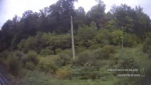 Рузаевка - Инза - Ульяновск из окна поезда (РЖД, 2018 год)