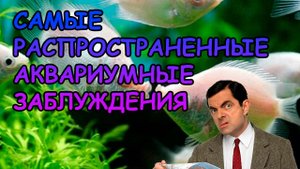 САМЫЕ РАСПРОСТРАНЕННЫЕ АКВАРИУМНЫЕ ЗАБЛУЖДЕНИЯ #АКВАМЕН