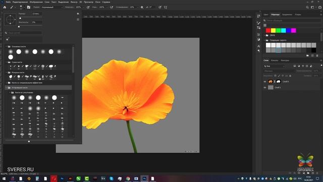 Как вернуть legacy кисти в Фотошоп. Как загрузить много кистей в Фотошоп. Уроки Фотошопа с нуля. смотреть онлайн