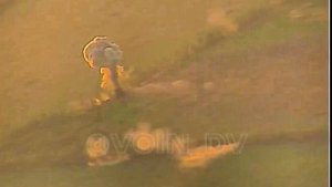 Уничтожение бронетехники ВСУ на Южно-Донецком направлении/Destruction of the AFU vehicles