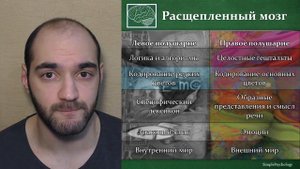 Когнитивная психология #18. Левое и правое полушария и расщепленный мозг