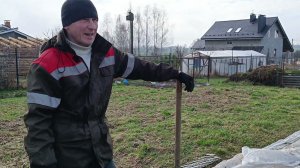 Посадка клубня  гиоргин сорта Голден Скептер в начале апреля. Первый опыт...