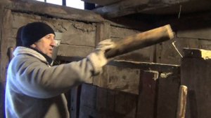 пополнение в хозяйстве у тещи, обзор хозяйства, жизнь в деревне