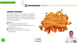 Биология ЕГЭ - Клеточная теория и клетка. Основа основ