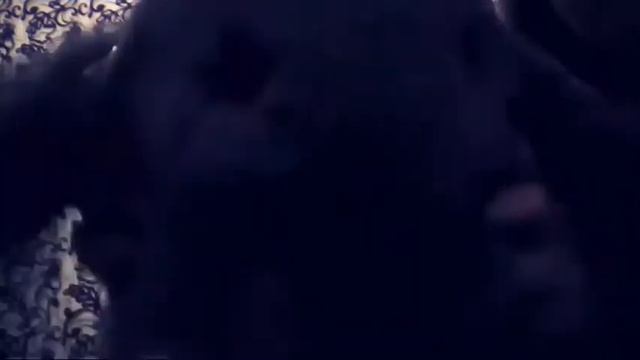 Зайчик танцует под песню - T- Fest- Улети . смотреть онлайн