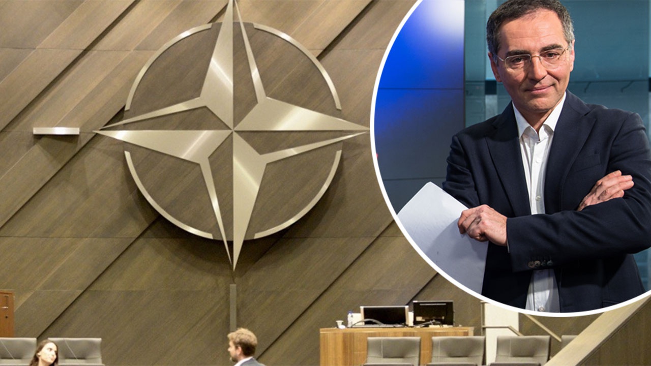 Раздрай и шатание в руководстве НАТО