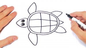 Как нарисовать черепаху | How to draw a turtle