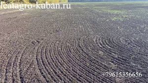 История Посева Рапса ПОСЕВНЫМ КОМПЛЕКСОМ FeatAgro