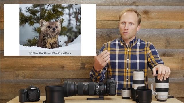 Zoom Telephoto Field Review Tamron 150-600 vs Sigma Sport 150-600 vs Canon 100-400 & more HD смотреть онлайн