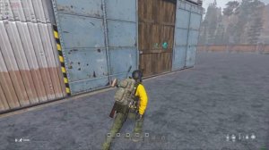 Dayz/ Баги, приколы, фейлы