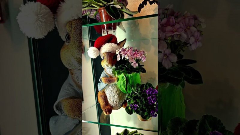 Предновогоднее настроение. Кухня Фиалки ❤️.