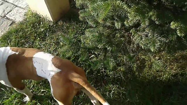 Забытые барьеры и встреча с израильтянами смотреть онлайн