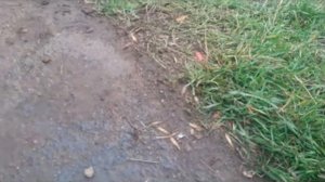 замена нижнего термостата на 93 градуса кашкай J10