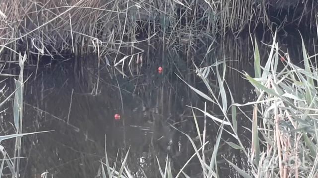 Бу бошкачаси тезрок куринг акаси. смотреть онлайн