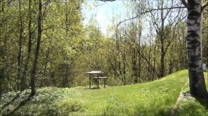 Как живут в Лениградской области. Всеволожск