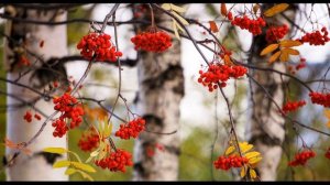 А  Толстой  Осень #стихиобосени #поэты19века