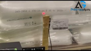 Автоматический принтер-аппликатор Н-ПР-01.600-ЭЛ. Нанесение этикетки на паллет.
