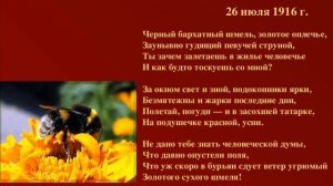 Последний шмель ("Чёрный бархатный шмель"), Бунин И.
