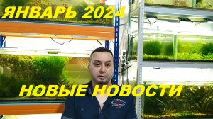 Аквановости на январь 2024. (Архив от 13.01.2024)