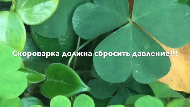 Чёрная Фасоль В Скороварке
