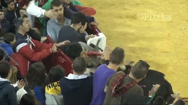 Фестиваль с быками смотреть онлайн