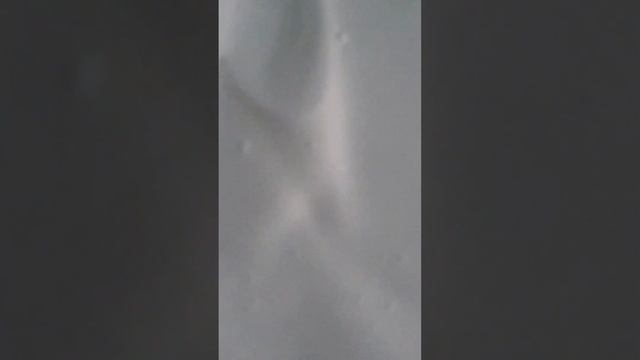 Меренговый рулет смотреть онлайн