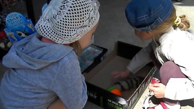 Дети гладят игрушку смотреть онлайн