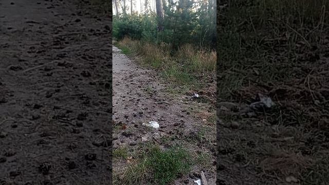 Обряд. Фартовый Клич на Фарт Удачу. 13 числа. Фартом отдана .