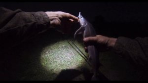 Первый опыт ловли стерляди  на платнике.  Пруд Пионерский. Fishing sturgeon.