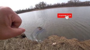 Астраханские щуки рвут снасти   ловим руками!!! Рыбалка на щуку в АСТРАХАНИ! Весенний жор щуки!