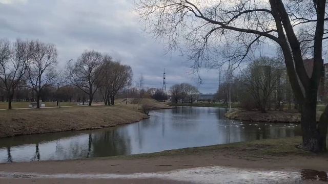 Чист Исток. Стихи читает автор.
