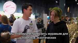 муравьиная ферма - хобби для всей семьи