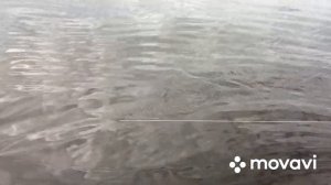 Удачная рыбалка на оз. Эмтор