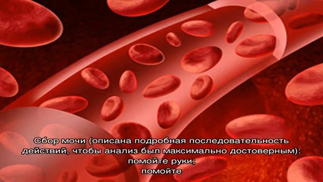 Что означает уробилиноген в анализе мочи?
