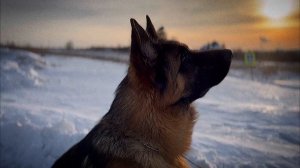 Соблюдай ПДД