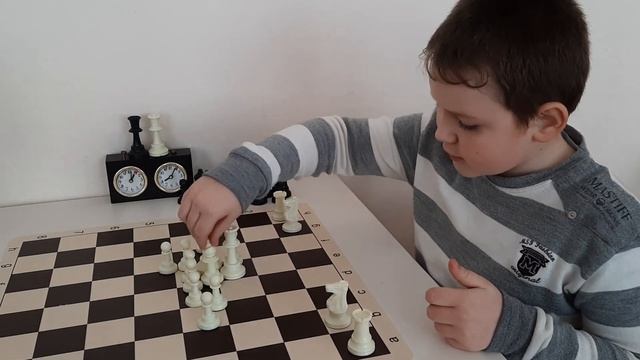 Шахматы правильно расставить фигуры смотреть онлайн