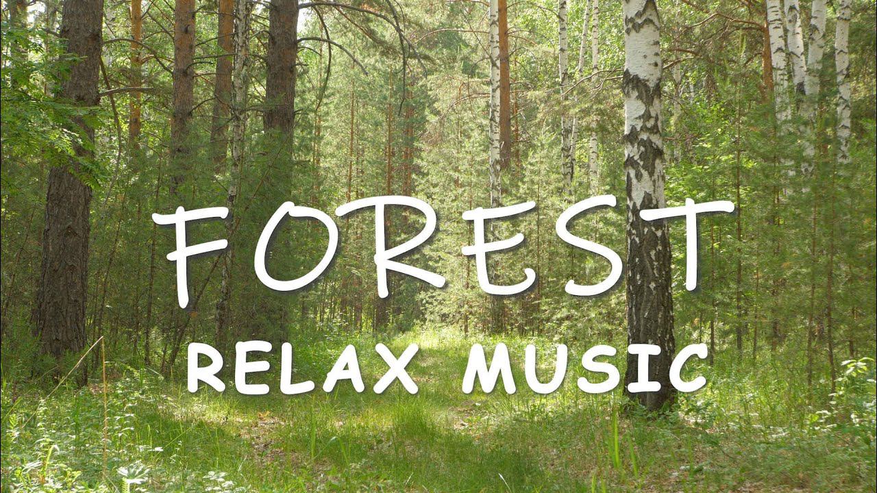 Best of Antent, Music Mix | Most Beautiful ✨  Space Ambient Music. Outer Space. Deep Relaxation смотреть онлайн