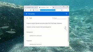 Поддержка Flash Player будет прекращена — как отключить уведомление в Google Chrome