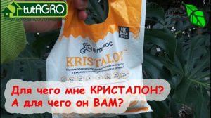 КРИСТАЛОН, РАСТВОРИН, ПЛАНТАФИД... С этими удобрениями вырастут все растения. Но и без них - ТОЖЕ!