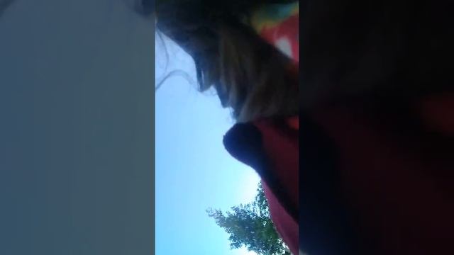 Правильная прополка огорода