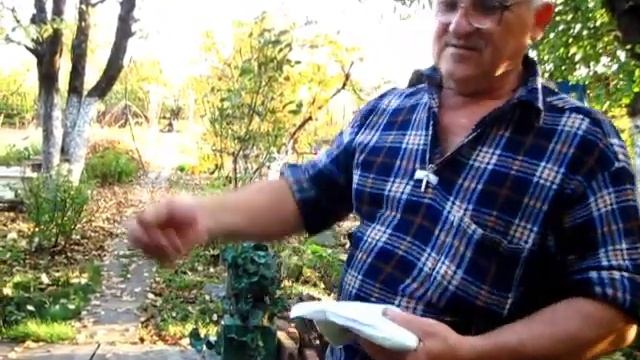 ОПРЫСКИВАНИЕ ВИНОГРАДНЫХ КУСТОВ ЖЕЛЕЗНЫМ КУПОРОСОМ  осенние опрыскивания смотреть онлайн