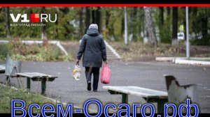 В России начали собирать предложения по изменению ПДД