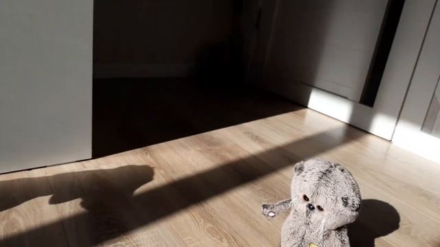 Утро Басиков (1 часть) смотреть онлайн