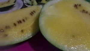 Урожай Арбузов с Желтой Мякотью на Урале..