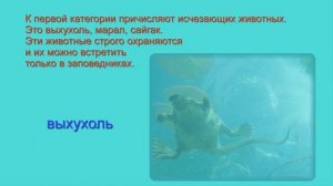 Разнообразие природы родного края, окружающий мир, 3 класс