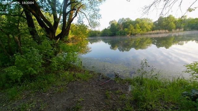 Ловля линя в мае на старице реки.