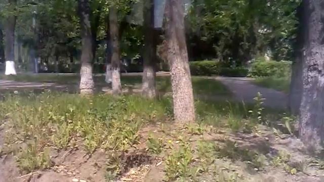 GTA 6 винница смотреть онлайн