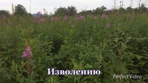 свет - благо