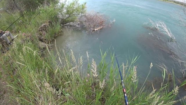 КЛАССНАЯ И ОПАСНАЯ РЫБАЛКА СРЕДИ ЗАРОСЛЕЙ С КЛЕЩАМИ! смотреть онлайн