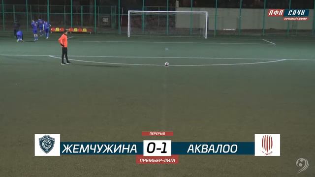 Жемчужина - Аквалоо / Премьер-Лига ЛФЛ Сочи смотреть онлайн